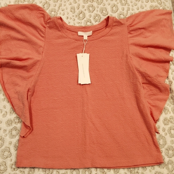 Adyson Parker Tops - NWT Adyson Parker Pink Butterfly Sleeve Size XS Top